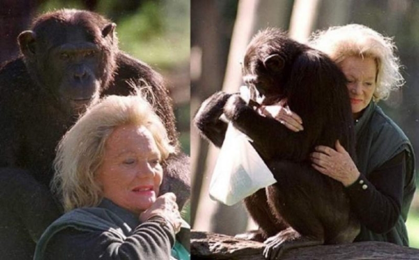 The richest animals in the world