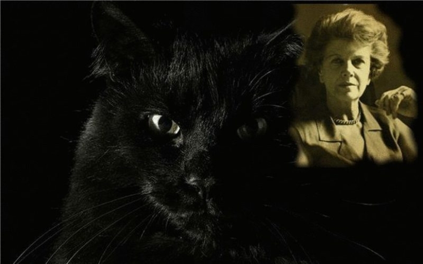 The richest animals in the world