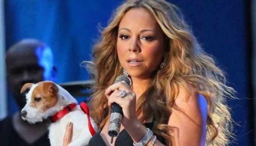 The richest animals in the world