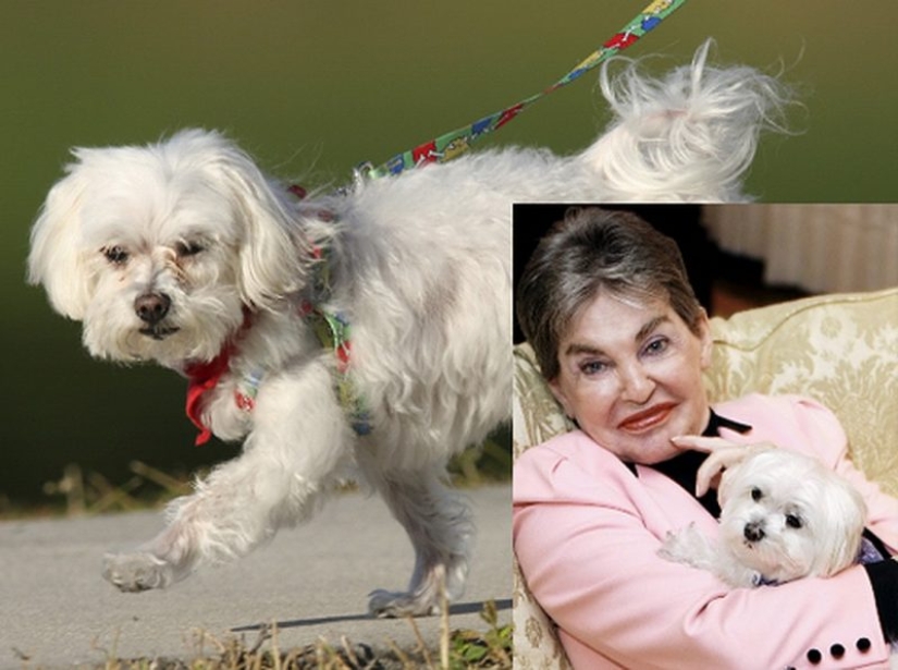 The richest animals in the world