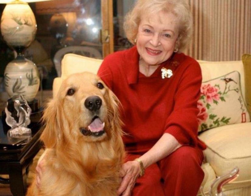 The richest animals in the world