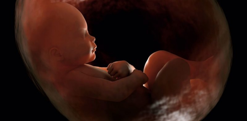 The right to choose: how abortion was treated in the USSR and Russia in different years