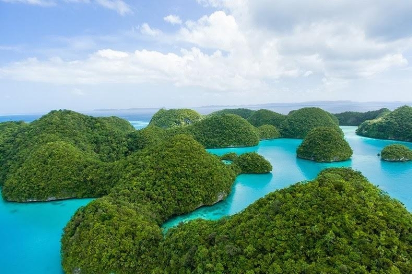 The Rocky Islands of Palau The Rocky Islands of Palau