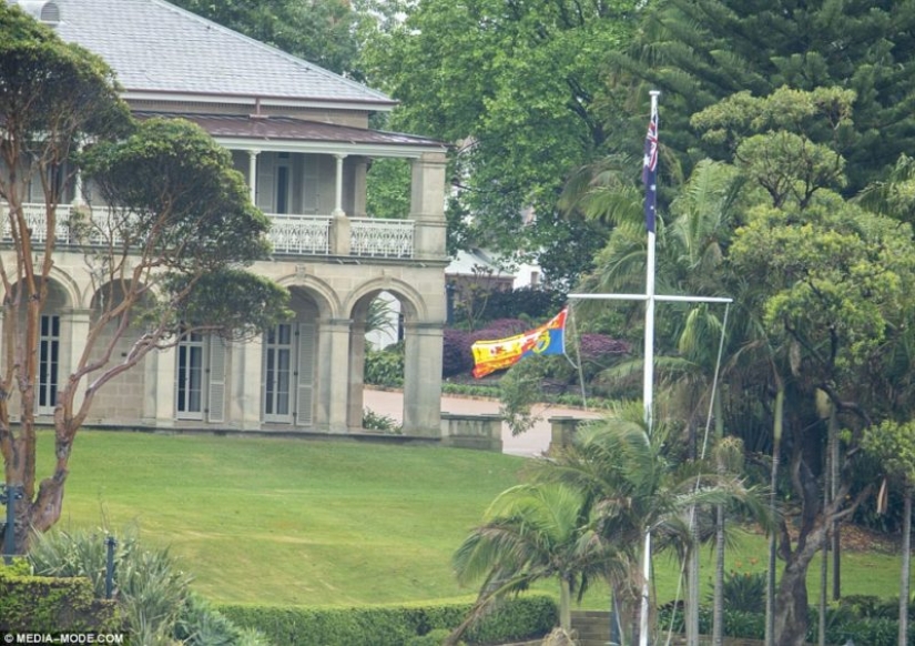 "The royal family is a cult, they're all obsessed": Prince Harry and Meghan Markle are expecting their first child, but not everyone is happy about it "The royal family is a cult, they're all obsessed": Prince Harry and Meghan Markle are expecting their first child, but not everyone is happy about it