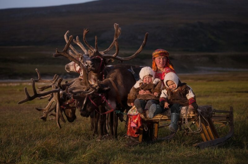 The Russian Geographical Society has determined the winners of the VII photo contest “The most beautiful country” The Russian Geographical Society has determined the winners of the VII photo contest “The most beautiful country”