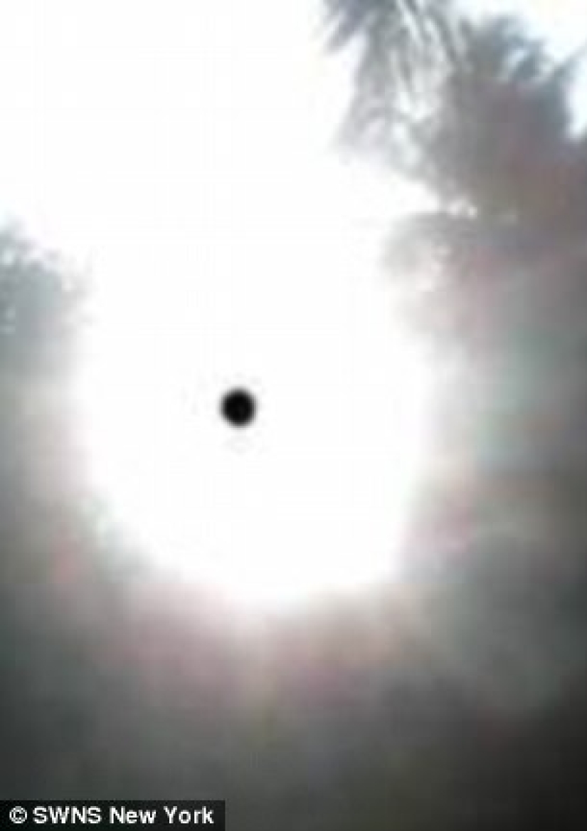 The scammer wanted to breed a blogger for money, and instead of sending him, he offered a deal