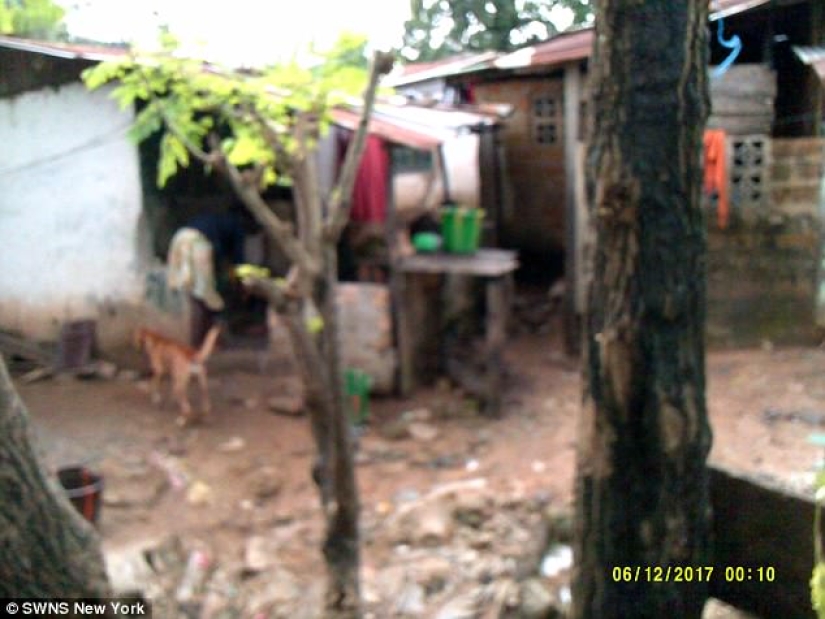 The scammer wanted to breed a blogger for money, and instead of sending him, he offered a deal