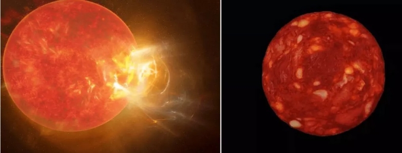 The scientist gave out a photo of a sausage for a picture from space. Twitter believed The scientist gave out a photo of a sausage for a picture from space. Twitter believed