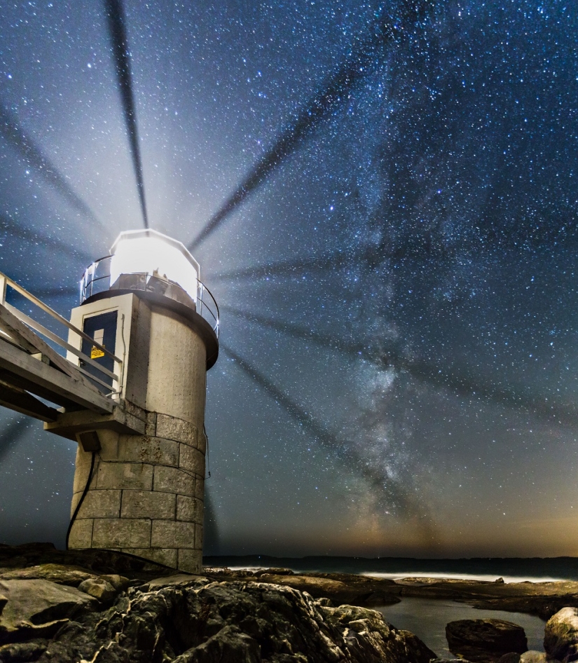 The seal got into the frame while the photographer was shooting the Milky Way