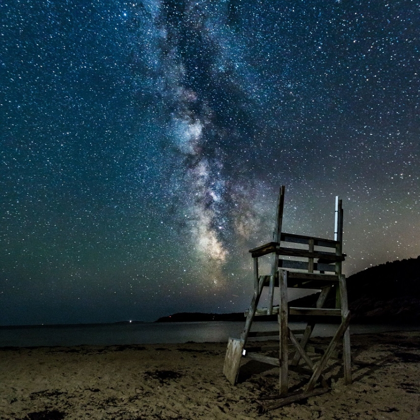 The seal got into the frame while the photographer was shooting the Milky Way