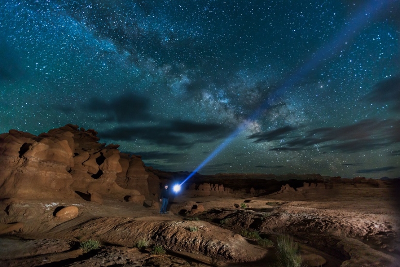 The seal got into the frame while the photographer was shooting the Milky Way