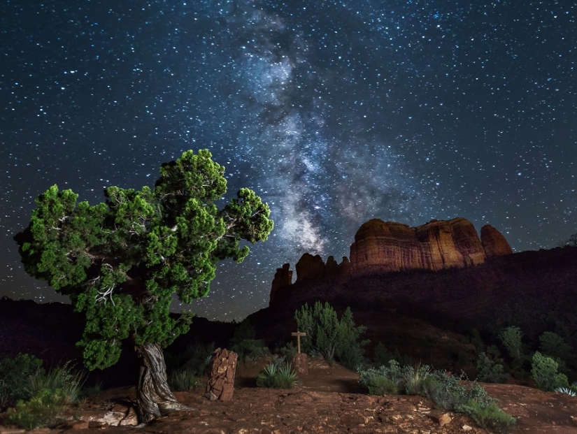 The seal got into the frame while the photographer was shooting the Milky Way