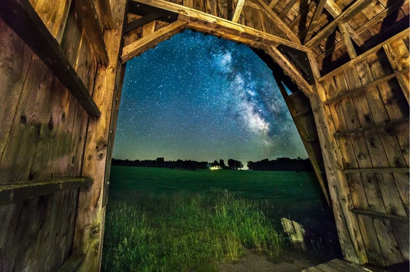The seal got into the frame while the photographer was shooting the Milky Way