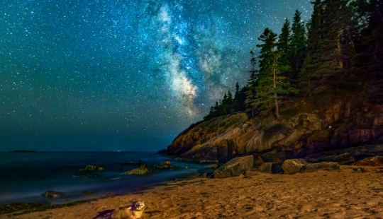 The seal got into the frame while the photographer was shooting the Milky Way