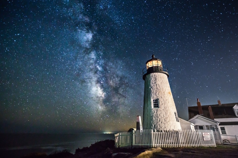 The seal got into the frame while the photographer was shooting the Milky Way