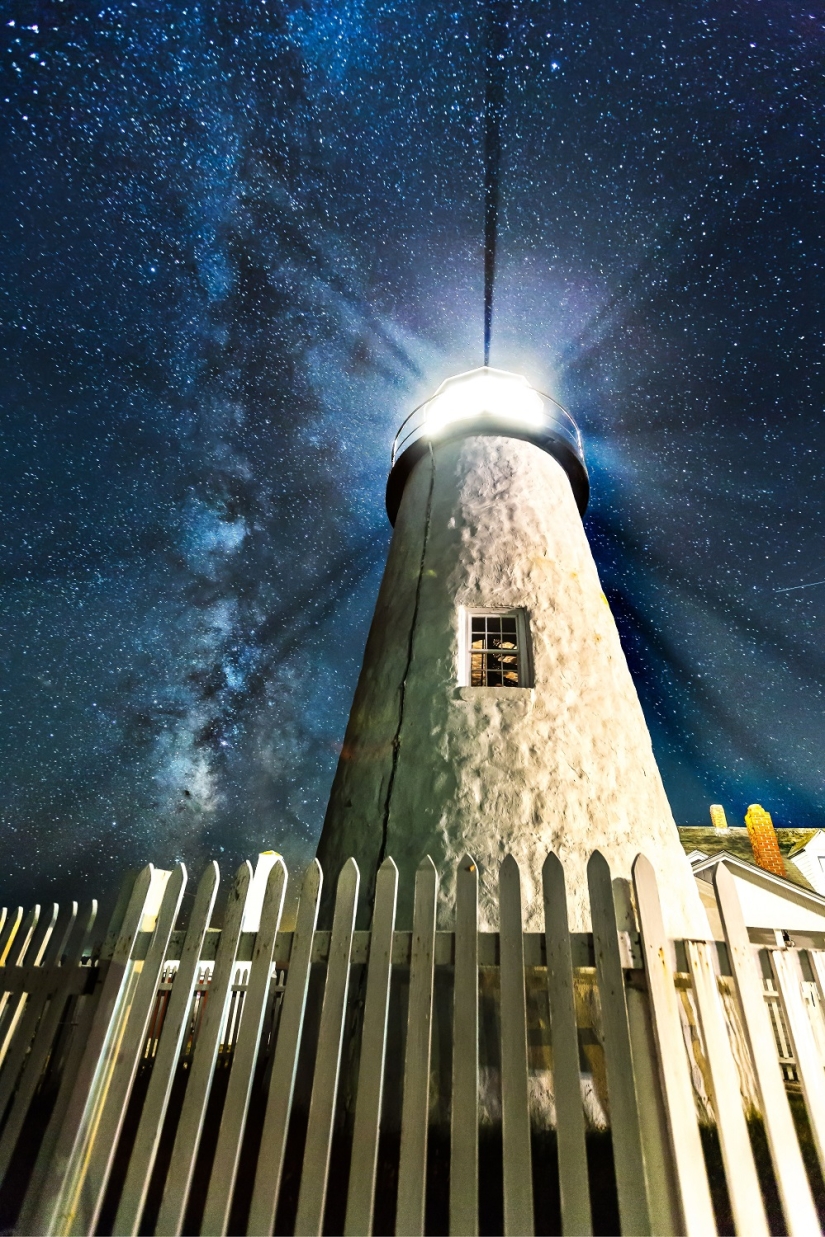 The seal got into the frame while the photographer was shooting the Milky Way
