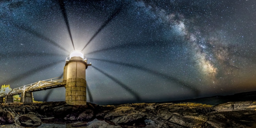 The seal got into the frame while the photographer was shooting the Milky Way