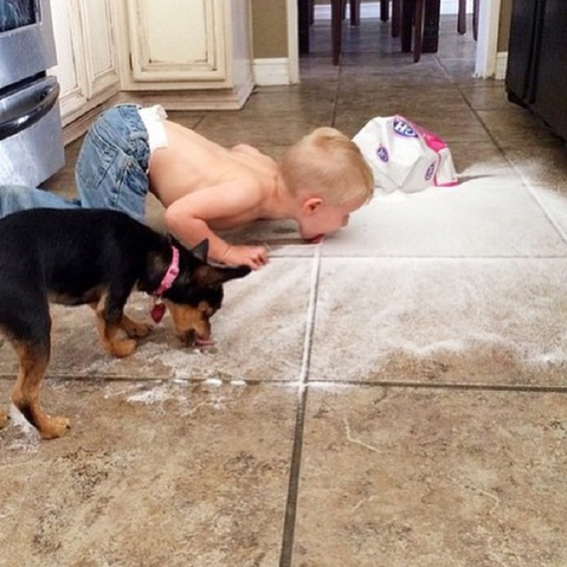 The site with the most terrible children in the world The site with the most terrible children in the world