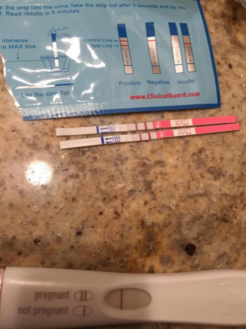 The stallion who will cover the whole world: a sperm donor from California dreams of giving the happiness of motherhood all over the planet