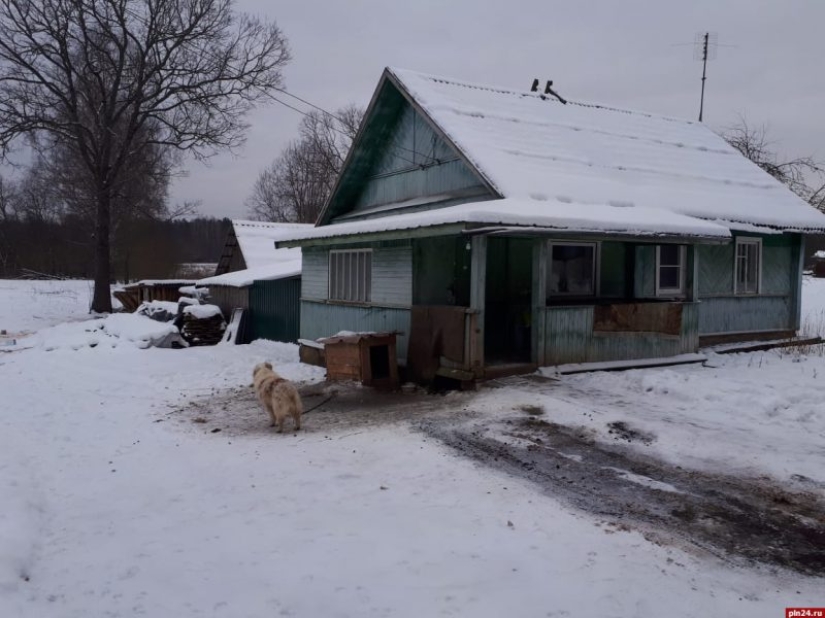 The story of how the girl Tasia wrote to the Kremlin