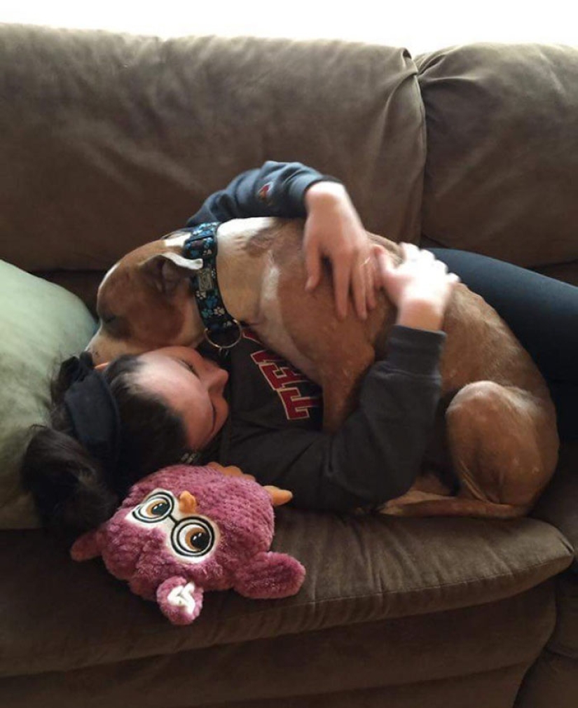 The student took the pit bull from the shelter, and he can't stop hugging her