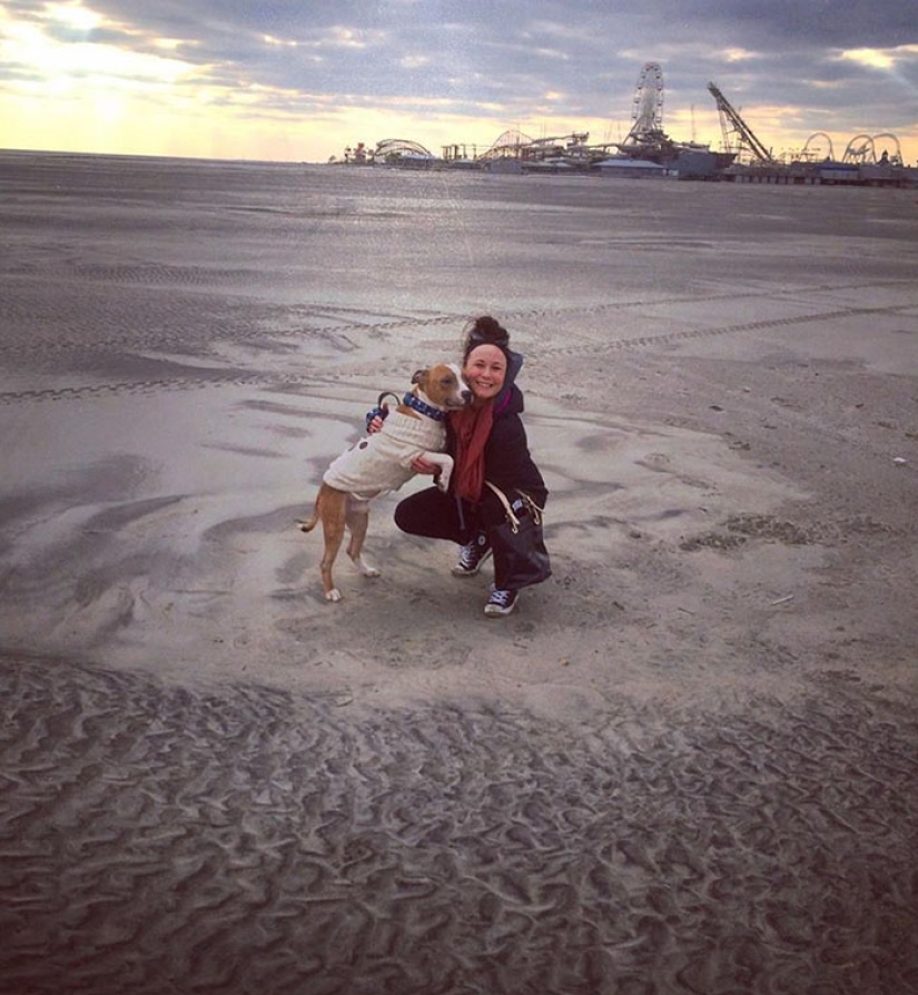The student took the pit bull from the shelter, and he can't stop hugging her