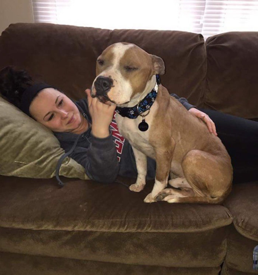 The student took the pit bull from the shelter, and he can't stop hugging her