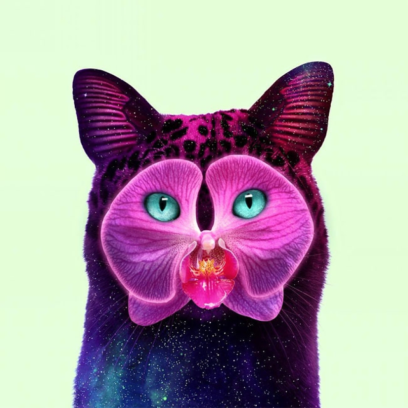 The surreal side of ordinary objects in the collages of the Mexican Paul Fuentes