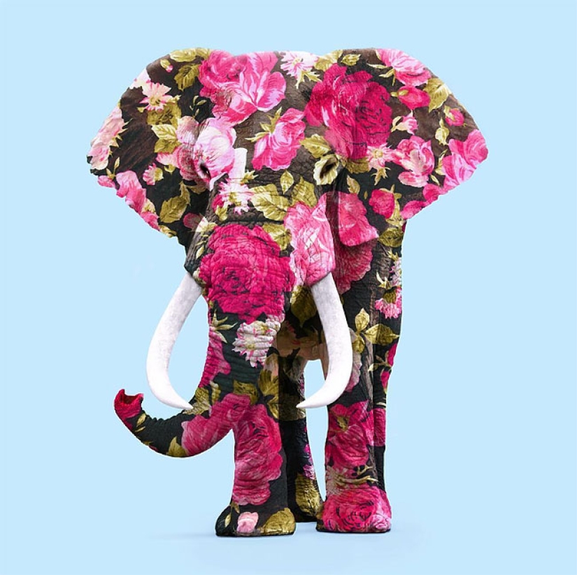 The surreal side of ordinary objects in the collages of the Mexican Paul Fuentes