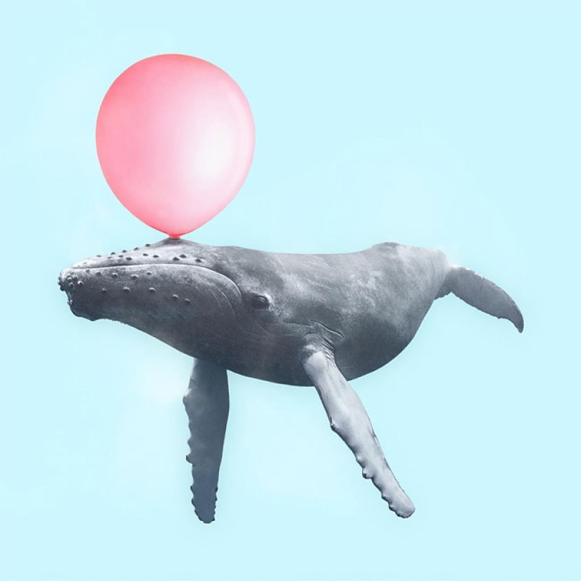 The surreal side of ordinary objects in the collages of the Mexican Paul Fuentes