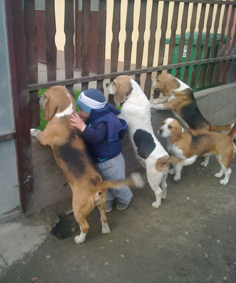 The third extra: masters of disguise, which even an Indian Sharp Eye will not find