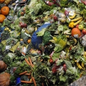 The timing of the decomposition of garbage in pictures