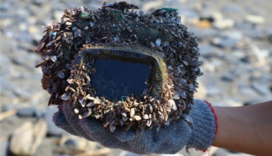 The Underwater odyssey of a lost camera: how three years later the camera returned to the owner The Underwater odyssey of a lost camera: how three years later the camera returned to the owner