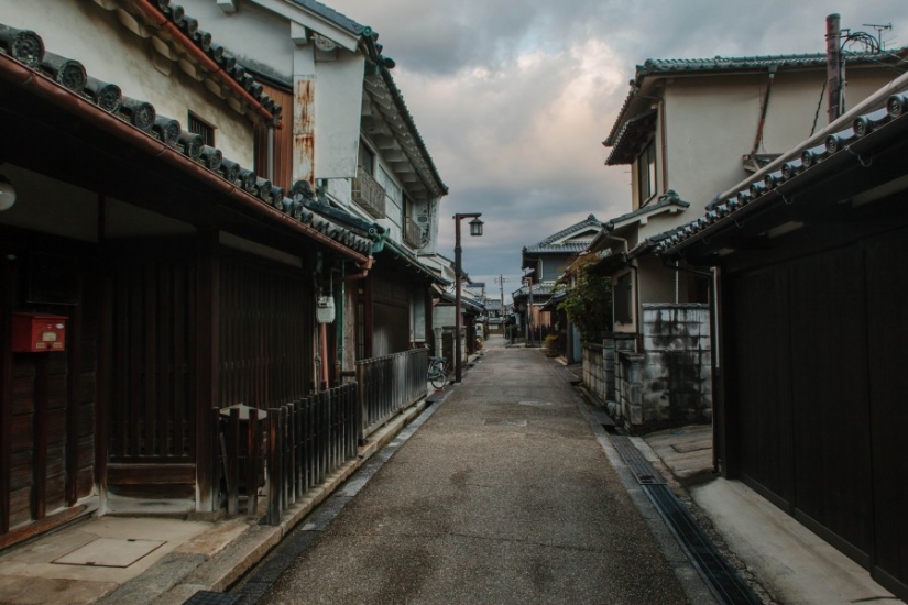 The whole of Japan for a thousand dollars: instructions of a professional traveler