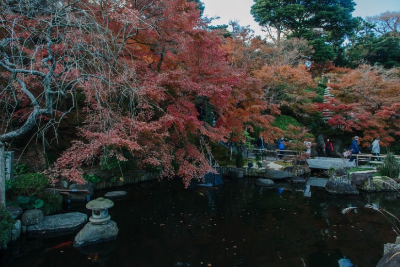 The whole of Japan for a thousand dollars: instructions of a professional traveler