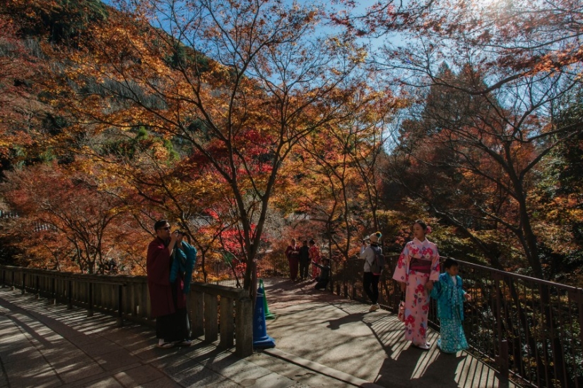 The whole of Japan for a thousand dollars: instructions of a professional traveler