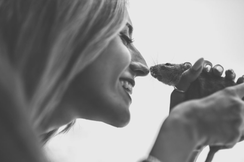 The whole palette of emotions on the faces: laboratory rats were released from cages for the first time
