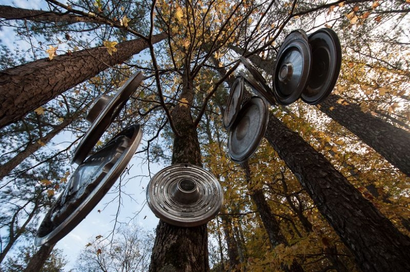 The world's largest cemetery of old cars The world's largest cemetery of old cars