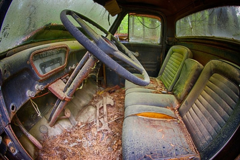 The world's largest cemetery of old cars The world's largest cemetery of old cars