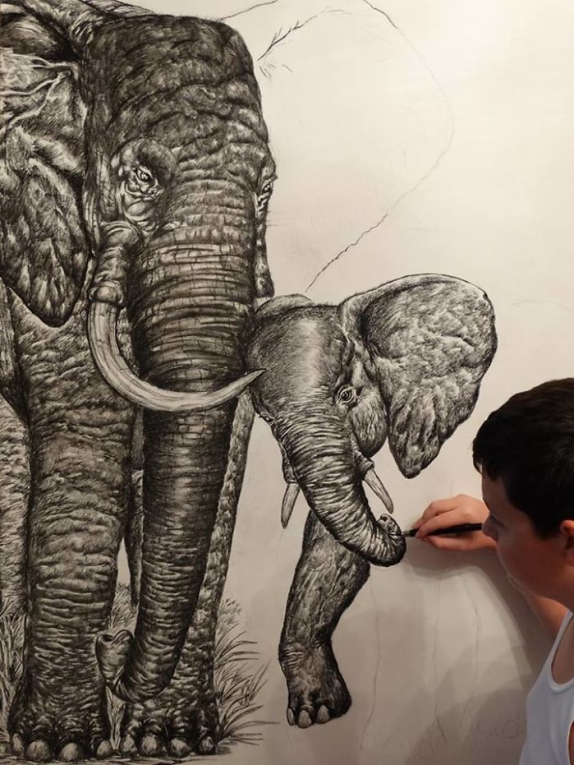 The young Serb has been drawing since the age of two and is already illustrating encyclopedias