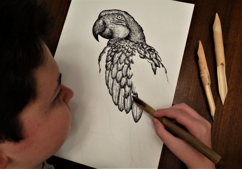 The young Serb has been drawing since the age of two and is already illustrating encyclopedias