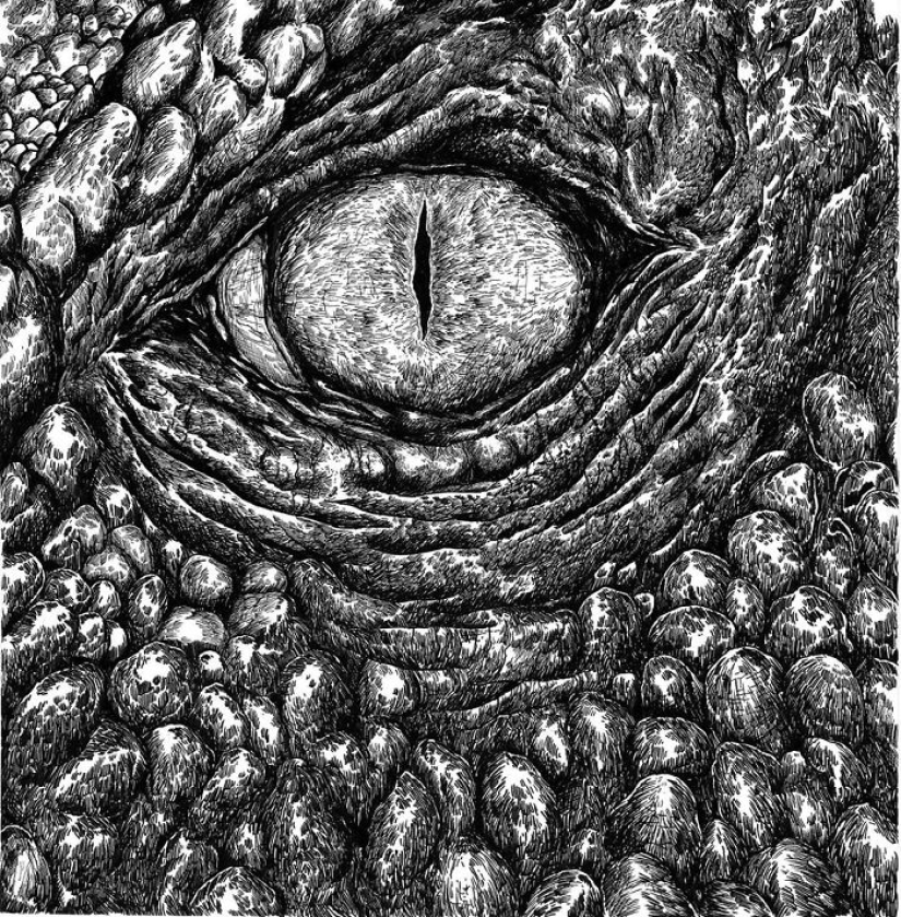 The young Serb has been drawing since the age of two and is already illustrating encyclopedias