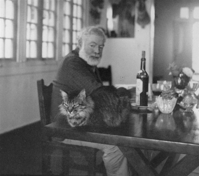 There is a cat behind every great man There is a cat behind every great man