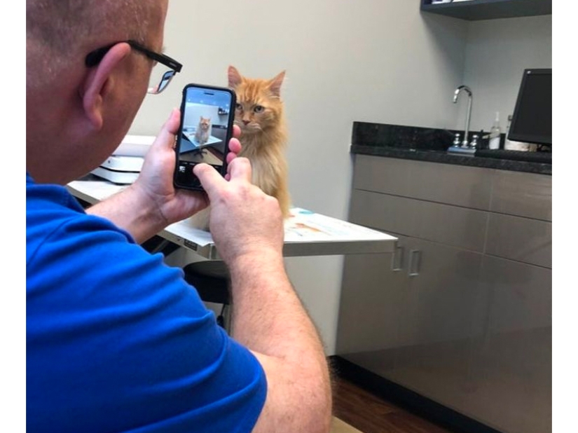 These fathers categorically did not want pets in the house, but something went wrong ... These fathers categorically did not want pets in the house, but something went wrong ...