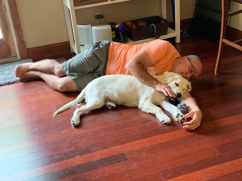 These fathers categorically did not want pets in the house, but something went wrong ... These fathers categorically did not want pets in the house, but something went wrong ...