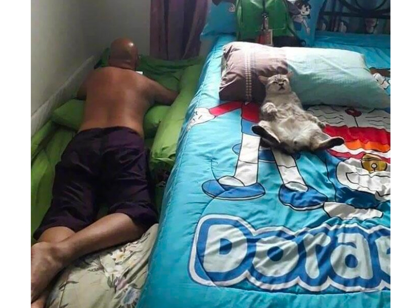 These fathers categorically did not want pets in the house, but something went wrong ... These fathers categorically did not want pets in the house, but something went wrong ...