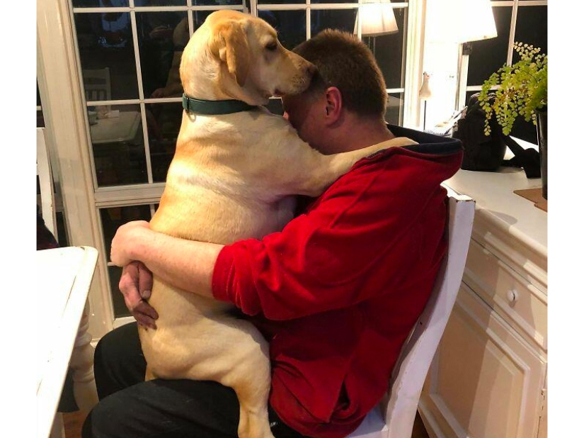 These fathers categorically did not want pets in the house, but something went wrong ... These fathers categorically did not want pets in the house, but something went wrong ...