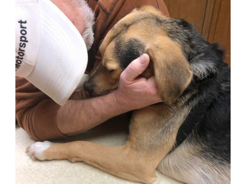 These fathers categorically did not want pets in the house, but something went wrong ... These fathers categorically did not want pets in the house, but something went wrong ...