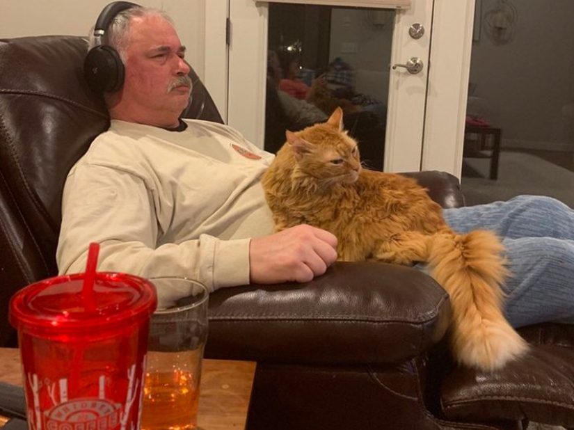 These fathers categorically did not want pets in the house, but something went wrong ... These fathers categorically did not want pets in the house, but something went wrong ...