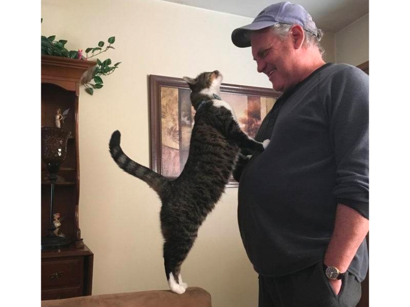 These fathers categorically did not want pets in the house, but something went wrong ... These fathers categorically did not want pets in the house, but something went wrong ...